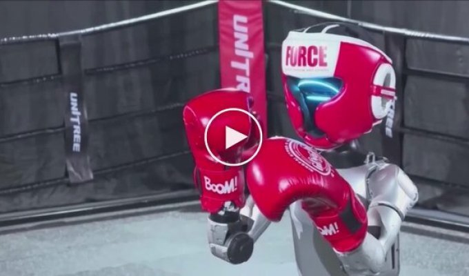 Humanoid robots entered the boxing ring in China