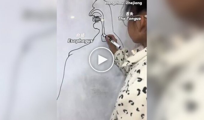 Школьница придумала необычный способ учить биологию