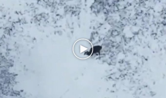 Видео работы операторов дронов на передовой. Часть 4