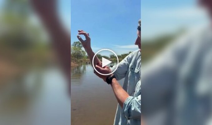 A TV presenter showed his wounds. after a crocodile bite