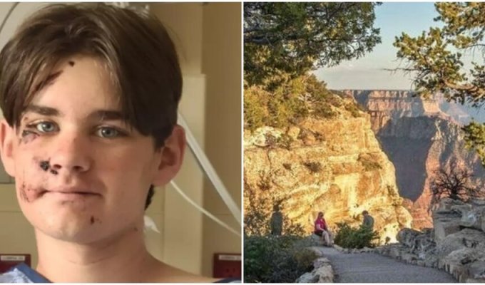 Мальчик чудом выжил после падения в Большом каньоне (5 фото)