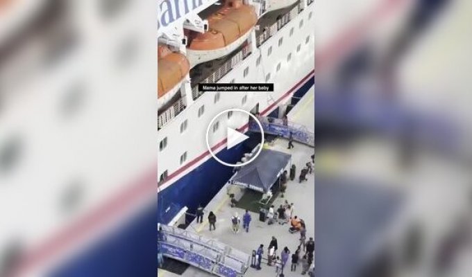 Во Флориде мать спасла четырехлетнюю дочь, упавшую между круизным лайнером и пирсом