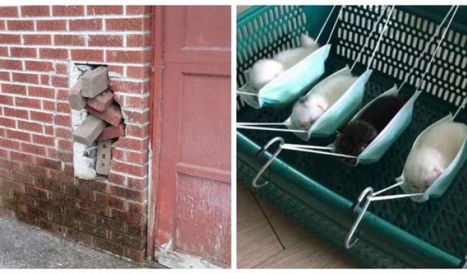 Mom's little engineer: 22 examples of DIY projects that are clumsy but functional (23 photos)