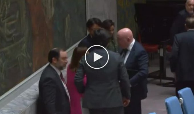 Какая же бесполезная организация: кратко о заседании ООН