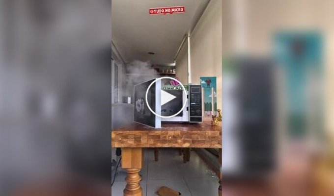 Чудак подогрел батарейку в микроволновой печи