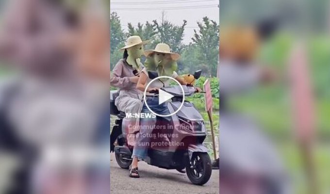 Китайцы нашли нестандартный способ защитить лицо от солнца