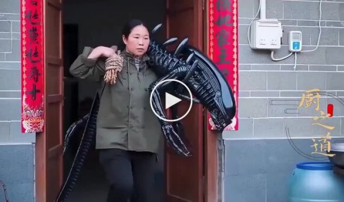 Китайцы готовят ксеноморфов