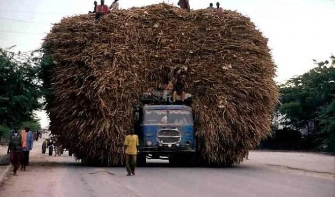Transportation That Defies the Laws of Physics and Common Sense (15 photos)