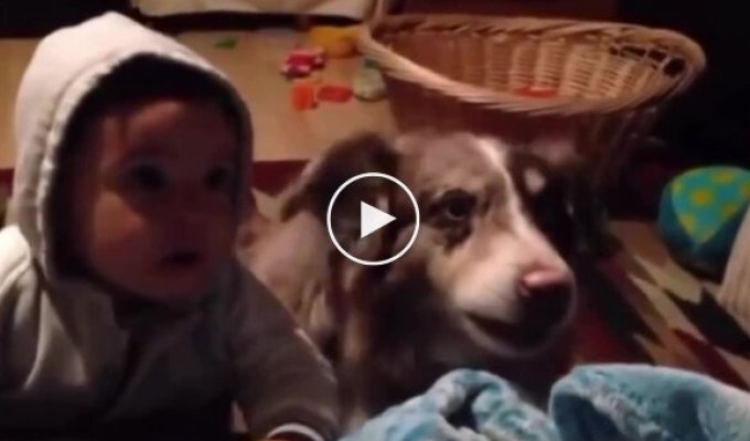 Пес ради лакомства выучил слово «мама» раньше ребенка