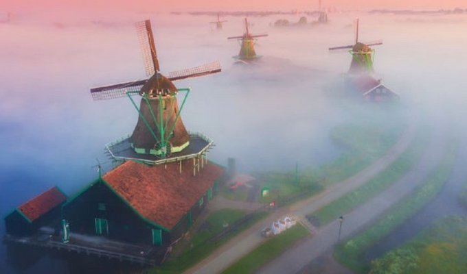 Голландская сказка: ветряные мельницы в тумане (12 фото)
