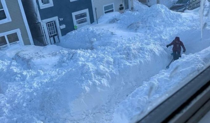 В Канаде выпало рекордное количество снега (18 фото)