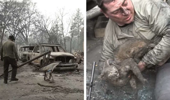 Мужчина со слезами на глазах достал кошку из-под сгоревшего грузовика (5 фото + 1 видео)