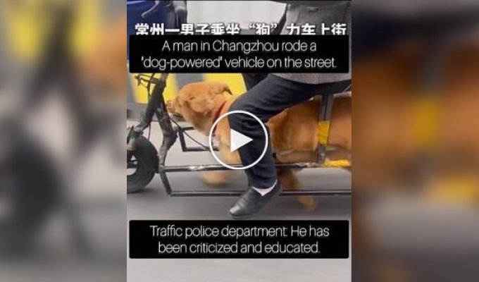 Пожилой мужчина использовал питомца для езды на электровелосипеде