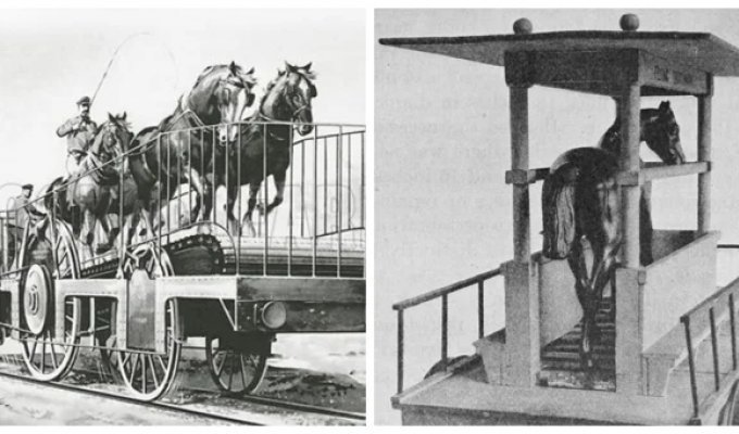 Horse-drawn locomotives (8 photos)