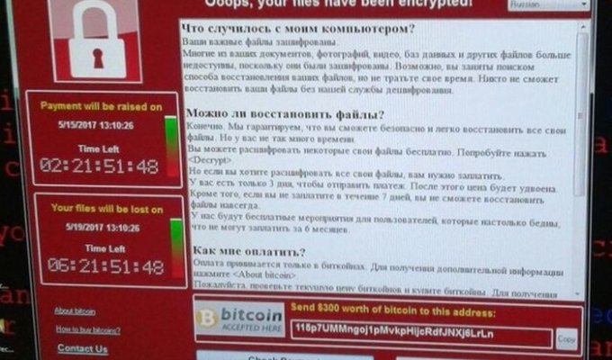 Вирус WannaCrypt: заплатите $300 в биткоинах или уничтожим файлы (13 фото)