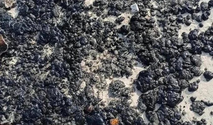 Пляжи Пхукета залило мазутом (4 фото)