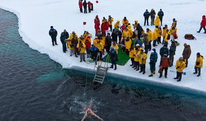 Северный полюс: Как это было (43 фото)