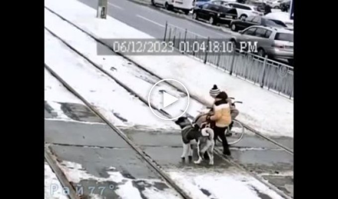 A boy with a dog helped a disabled woman stuck on the tram tracks