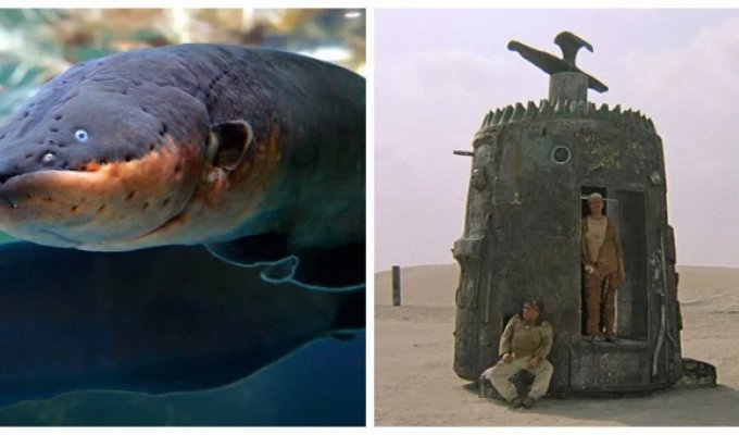 10 Fascinating Facts That Sound Like Pure Fiction (11 Photos)