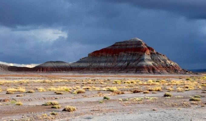 Нарисованная Пустыня, США (11 фото)