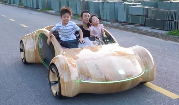 A handy man built an electric car out of wood (1 photo + 3 videos)