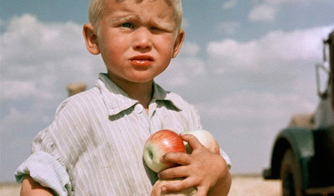 Почему в СССР было другое детство (7 фото)