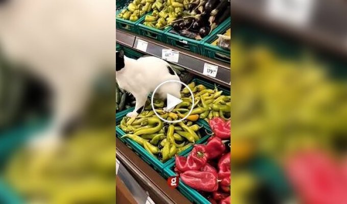 В овощном отделе магазина кошка справила нужду прямо на перцы