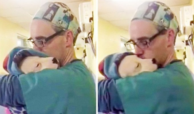 Ветеринар успокаивал щенка после операции как маленького ребенка (3 фото)