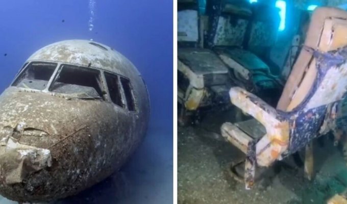 Dive to Lockheed L-1011 TriStar in the Red Sea (8 photos + 2 videos)