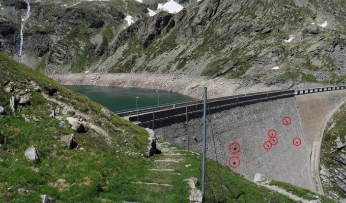 Alpine goats in Italy walk along a steep dam (10 photos)
