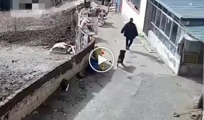 Не растерялся