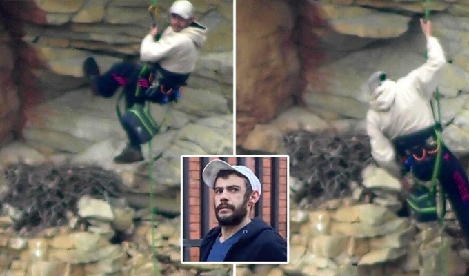 A British man destroyed a peregrine falcon's nest and received a prison sentence (4 photos + 1 video)