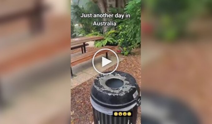 Australia can surprise