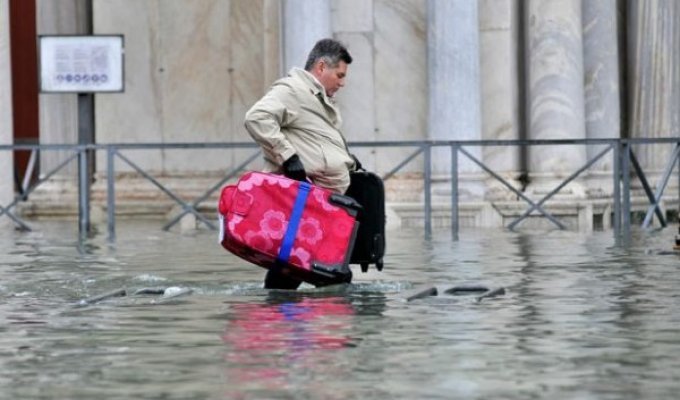 Затопленная Венеция (13 фото)