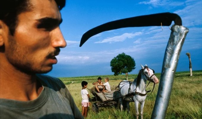 Почему у цыган нет своего государства? (4 фото)