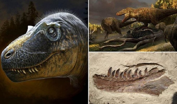 В Техасе нашли новый вид рогатого динозавра (12 фото)