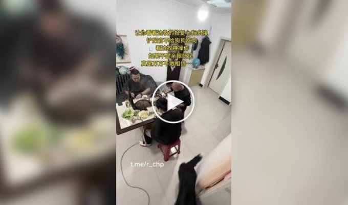 Голодный пес проучил хозяина