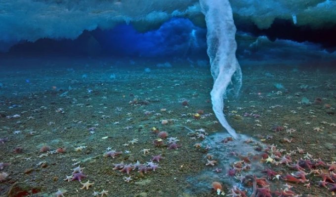 5 поразительных феноменов океана (8 фото)