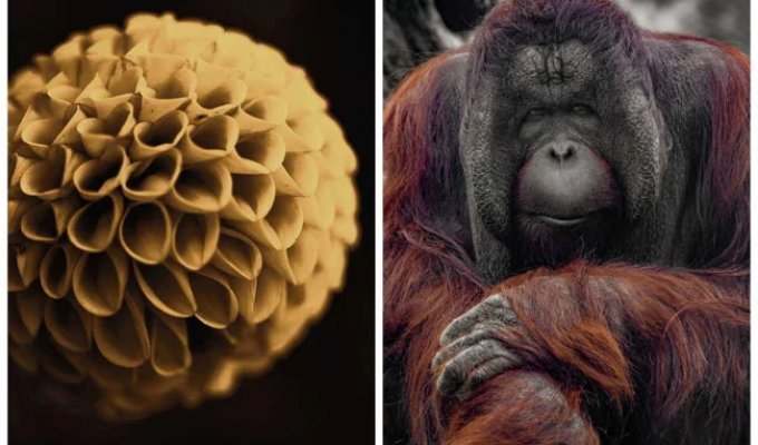 Photographers From 14 Countries Capture Nature—Each Through a Unique Lens (26 Photos)