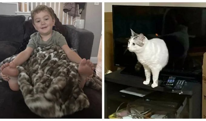 20 ярких доказательств того, что перспектива любит и умеет нас мастерски троллить (21 фото)