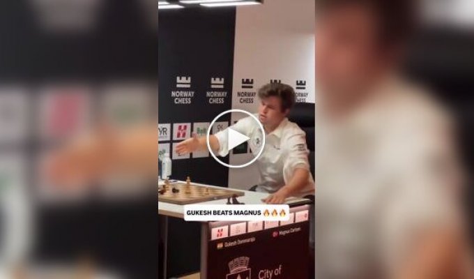 Известный шахматист психанул, когда проиграл молодому гроссмейстеру