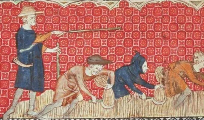 5 myths about the Middle Ages that everyone seems to believe (6 photos)