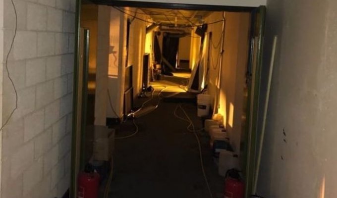 В Великобритании обнаружили плантацию марихуаны в ядерном бункере (3 фото)