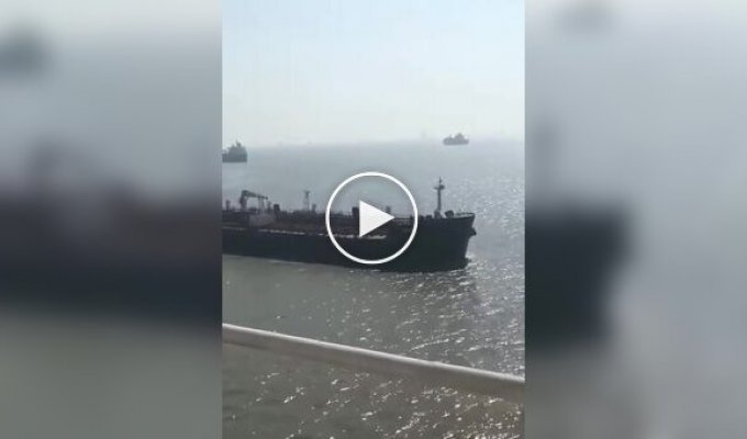 An unusual meeting at sea near ships