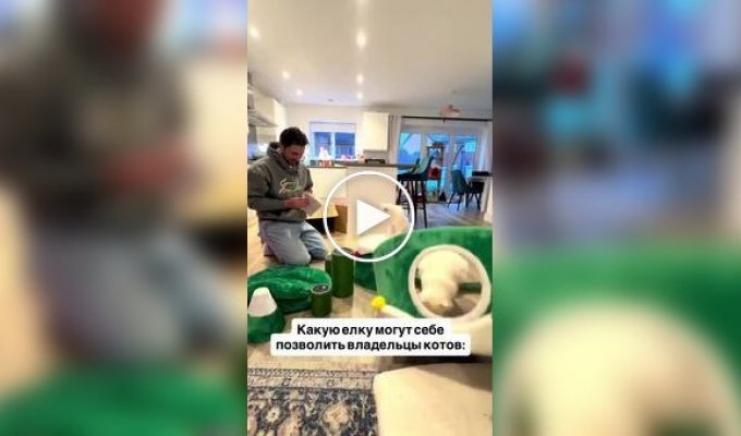 елка, которую коты точно не уронят