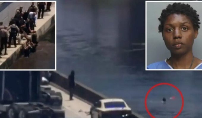Угонщица прыгнула в озеро, чтобы скрыться от полиции (5 фото + 1 видео)