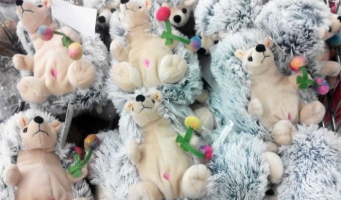 Во Владимирском магазине появились игрушки-ежики с непонятными розовыми дырочками (2 фото)