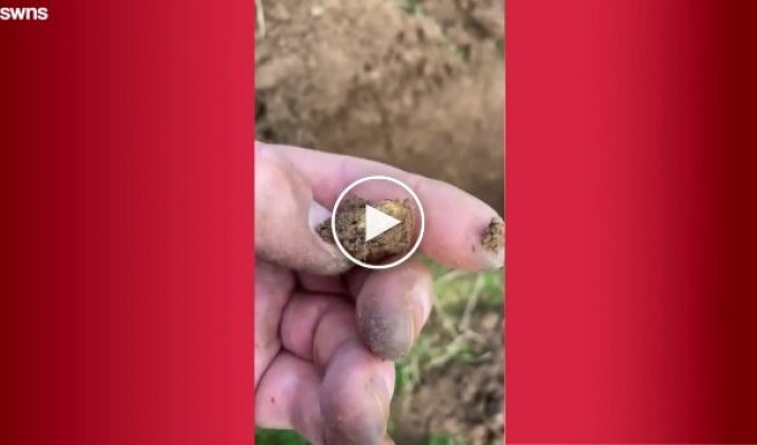 A man in a field found a rare gold ring