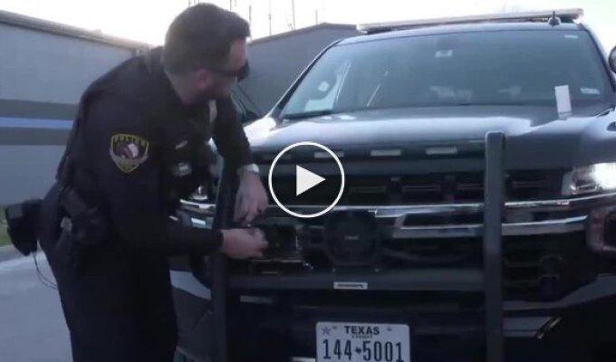 Like in the movies: in the USA, the police armed themselves with GPS darts