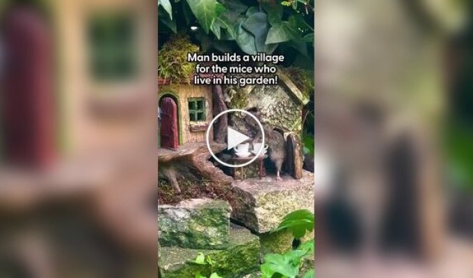 Man builds a village for mice living in his garden